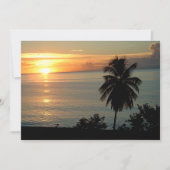 Stunning Color Sunsets (Front)