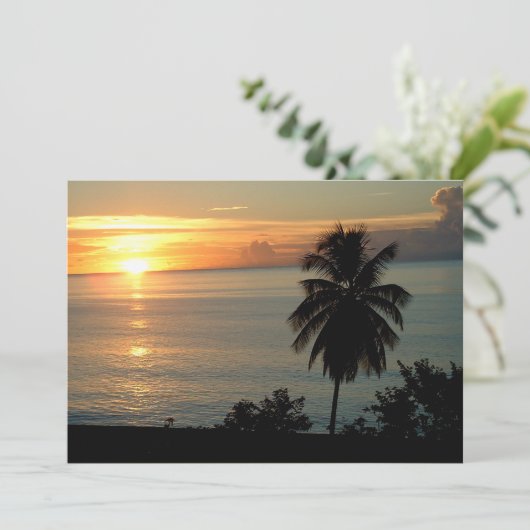 Stunning Color Sunsets (Standing Front)