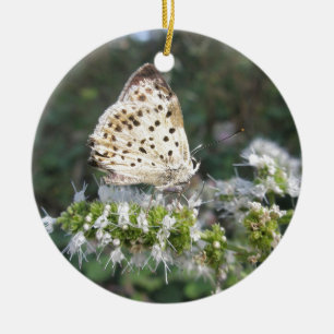 Stunning Cream and Chocolate Butterfly Ceramic Ornament