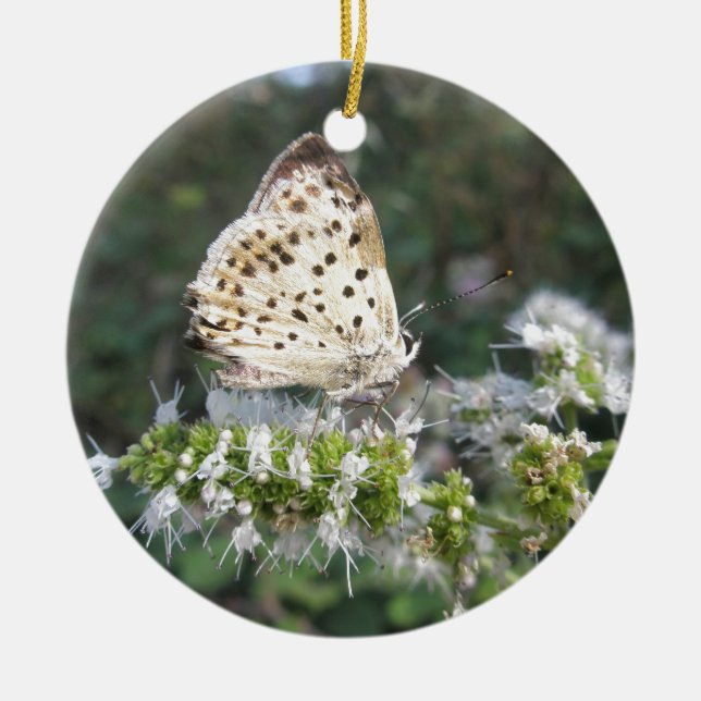 Stunning Cream and Chocolate Butterfly Ceramic Ornament (Front)