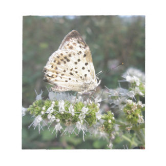 Stunning Cream and Chocolate Butterfly Notepad