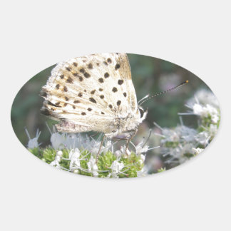 Stunning Cream and Chocolate Butterfly Oval Sticker