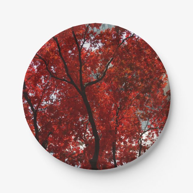 Stunning Crimson Leaves and Black Limbs on a Paper Plates (Front)