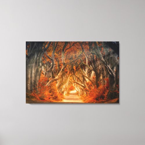 Stunning Dark Forest of Hedges Canvas Print