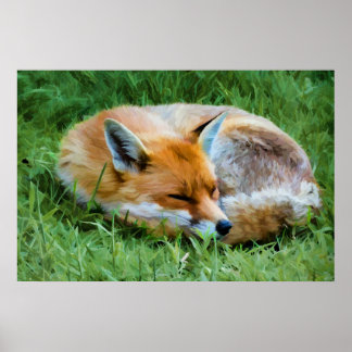 Stunning digital painting of a sleeping fox poster