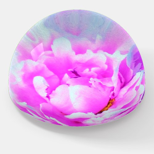 Stunning Double Pink Peony Flower Detail Paperweight