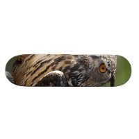 Stunning Eagle Owl with Orange Eyes Skate Board Decks