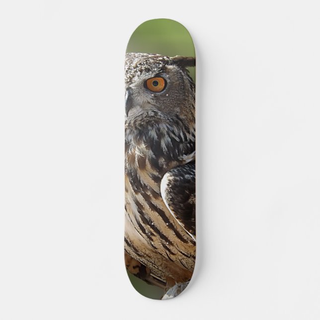 Stunning Eagle Owl with Orange Eyes Skateboard Deck (Front)