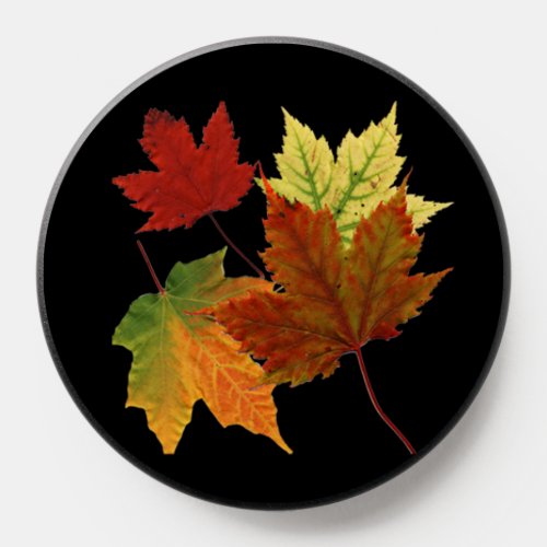 Stunning Fall Colors From Maple Leaves PopSocket