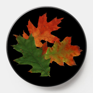 Stunning Fall Colors From Oak Leaves PopSocket