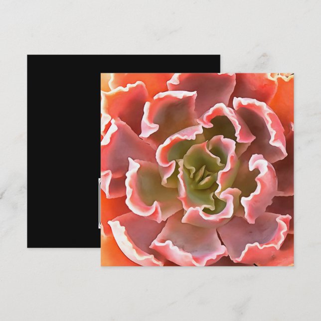 Stunning Garden Succulent Pink Tones Realistic Art Invitation (Front/Back)