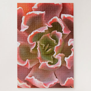 Stunning Garden Succulent Pink Tones Realistic Art Jigsaw Puzzle