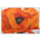 Stunning Georgia O'Keeffe Red Poppy
