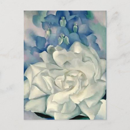 Stunning Georgia O'keeffe White Rose And Larkspur Postcard