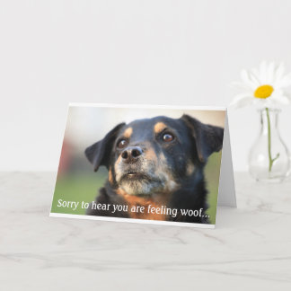 Stunning Get Well Soon Dog Greeting Card