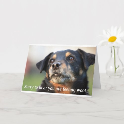 Stunning Get Well Soon Dog Greeting Card