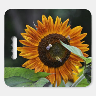 Stunning Golden Sunflower Kneeler or Seat Cushion