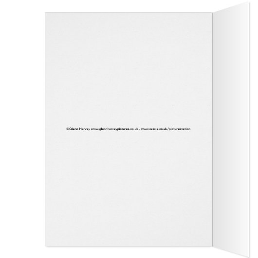 Stunning! Grand Canal Venice (Inside (Left))