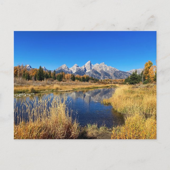 Stunning Grand Tetons National Park Postcard (Front)