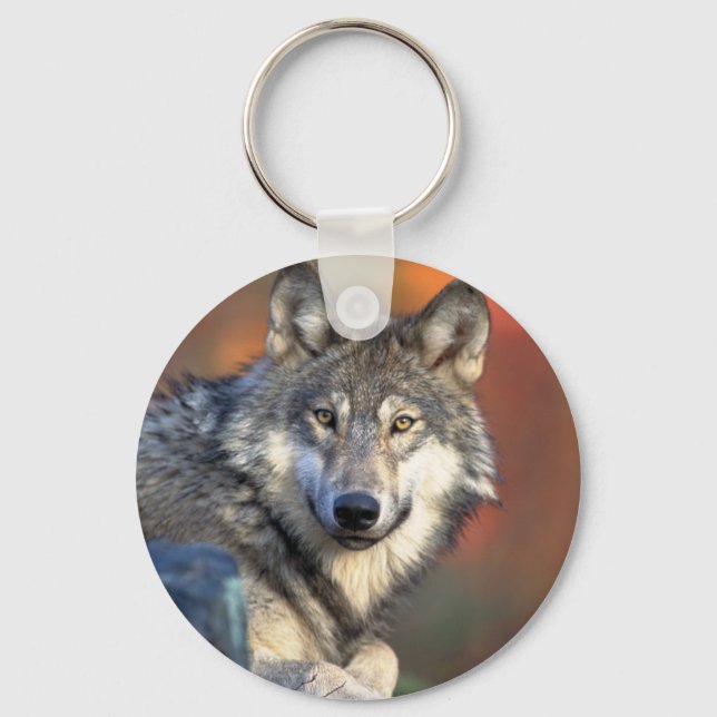 Stunning gray wolf keychain (Front)