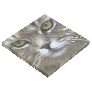 Stunning Grey Cat Pet Artistic Portrait Gallery Wrap