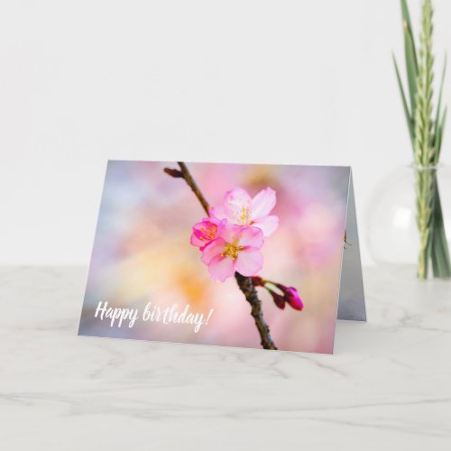 Stunning Group Of Sakura Flowers In Spring Card