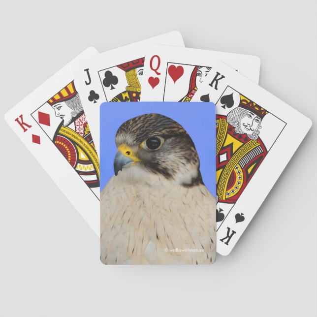 Stunning Gyrfalcon Saker Hybrid Falcon Poker Cards (Back)