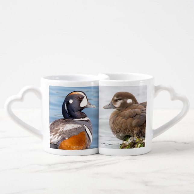 Stunning Harlequin Ducks Lovebirds Coffee Mug Set (Front Nesting)