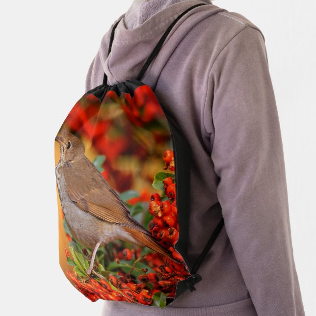 Stunning Hermit Thrush Songbird on Berry Bush Drawstring Bag (Insitu)