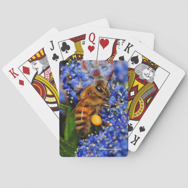 Stunning Honeybee on the California Lilac Shrub Poker Cards (Back)
