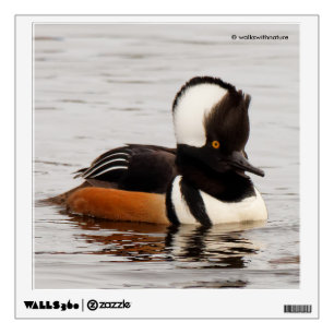 Stunning Hooded Merganser Duck at the Pond Wall Sticker