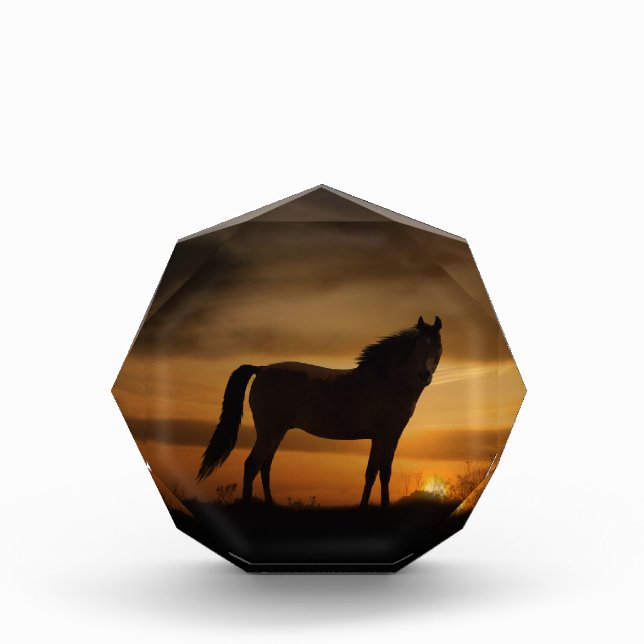 Stunning Horse Fine Art Photo Block (Front)