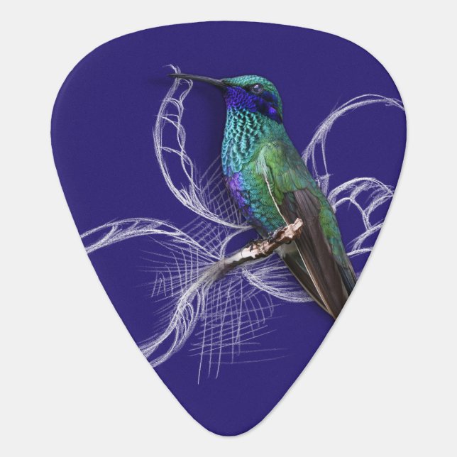 Stunning Hummingbird - personalise by adding name Guitar Pick (Front)