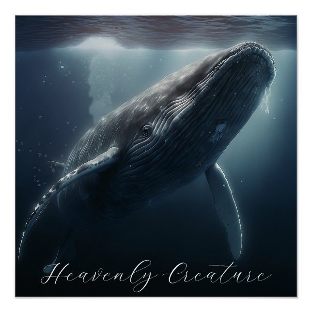 Stunning Humpback Whale Poster (Front)