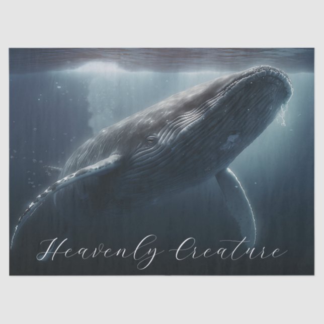Stunning Humpback Whale Tissue Paper (Front)