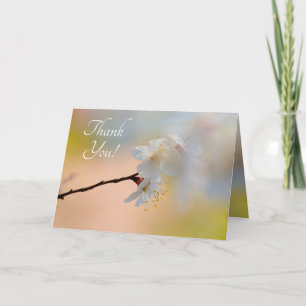 Stunning Japanese Apricot Flowers Letterpress Thank You Card