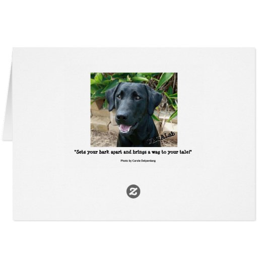 Stunning lab with great message! (Back Horizontal)