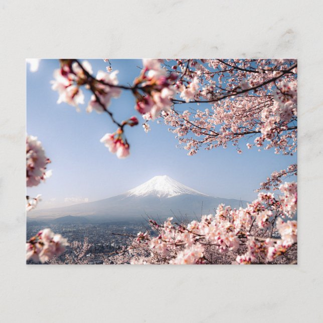 Stunning Landscape of Mount Fuji and Sakura Holiday Postcard (Front)