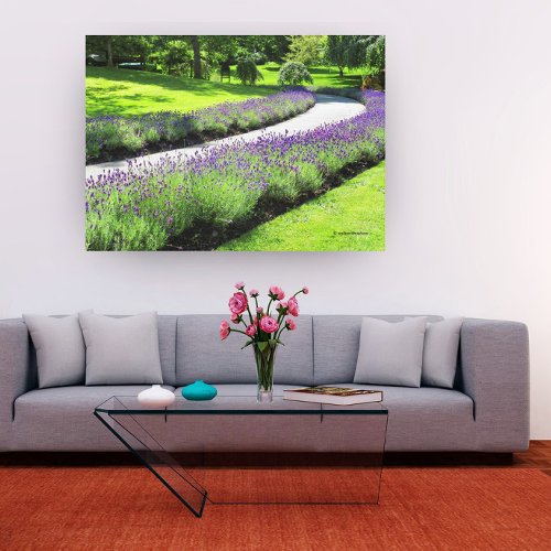 Stunning Lavender_Lined Garden Walk Canvas Print