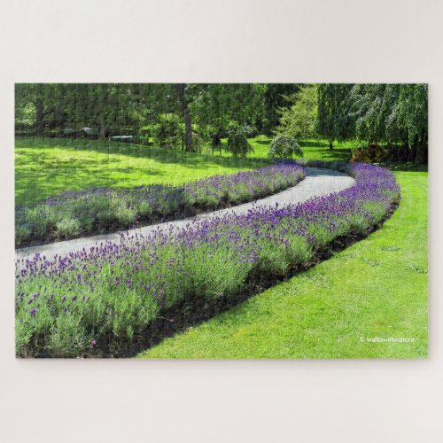 Stunning Lavender_Lined Garden Walk Jigsaw Puzzle