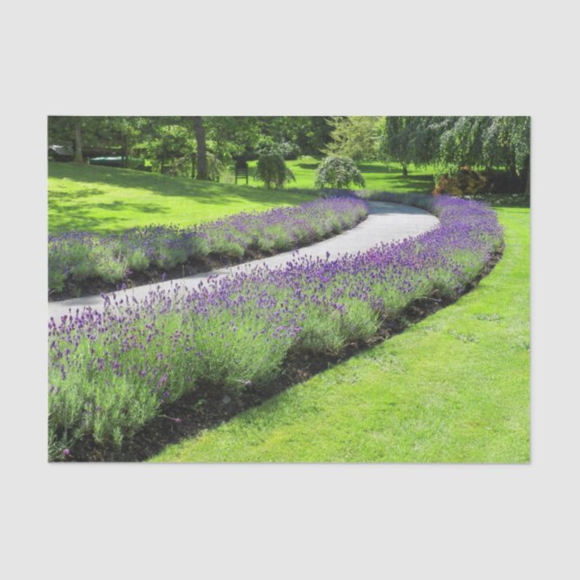 Stunning Lavender-Lined Garden Walk Landscape Tissue Paper (Front)