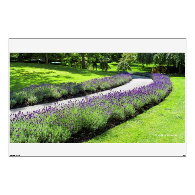 Stunning Lavender-Lined Garden Walk Landscape Wall Sticker (Front)