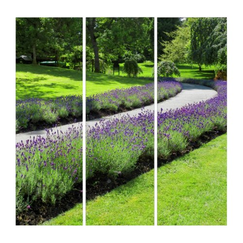 Stunning Lavender_Lined Garden Walk Triptych