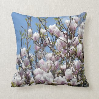 Stunning Magnolia Blossom Cushion