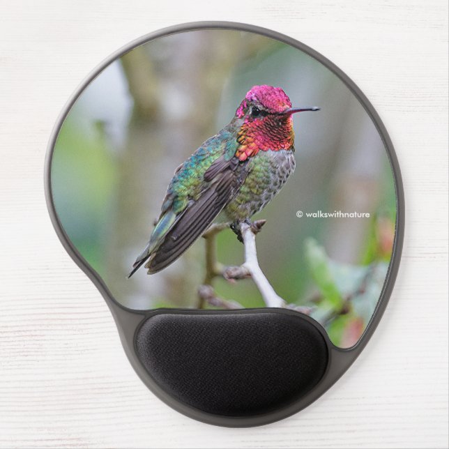 Stunning Male Anna's Hummingbird in Plum Tree Gel Mouse Pad (Front)