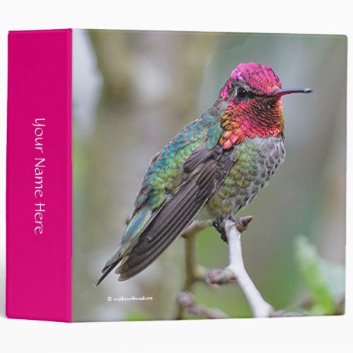 Stunning Male Annas Hummingbird on the Plum Tree 3 Ring Binder