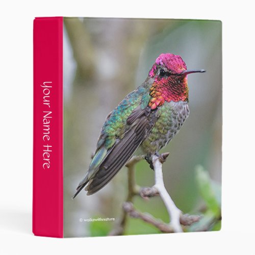 Stunning Male Annas Hummingbird on the Plum Tree Mini Binder