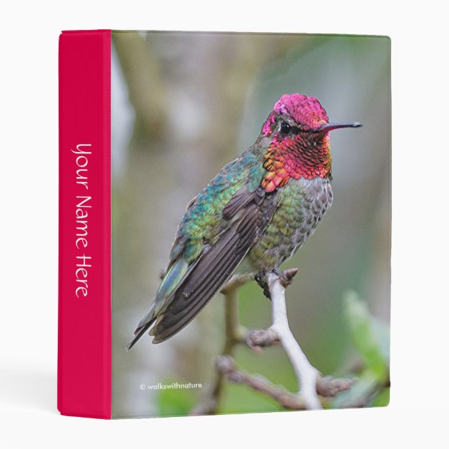 Stunning Male Anna's Hummingbird on the Plum Tree Mini Binder (Front/Spine)