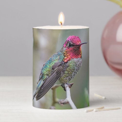 Stunning Male Annas Hummingbird on the Plum Tree Pillar Candle