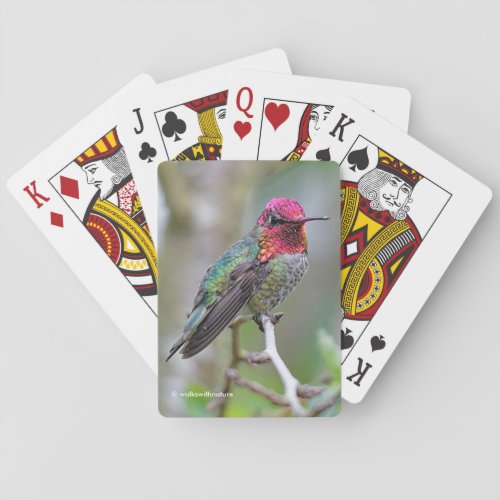 Stunning Male Annas Hummingbird on the Plum Tree Playing Cards